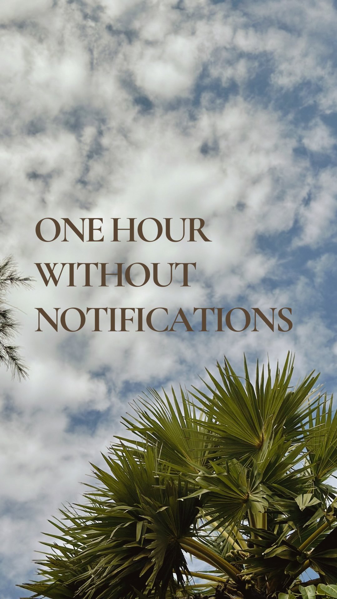 For one hour, nothing needs your attention.

No notifications.
No emails.
No planning the next thing.

Just movement, breath, a little quiet and a view of the palms outside the shala.

Sometimes that’s all it takes to feel a little more present again.

Join us for daily yoga classes in Arugam Bay.

Open to all levels, hotel guests and outside visitors alike.